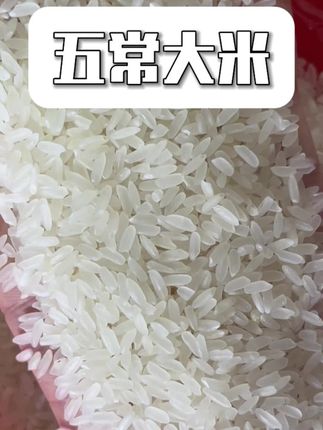还没有买到好吃的大米吗?来试试这款五常大米吧#大米 #米饭#五常大米#五常大米原产地 #三农