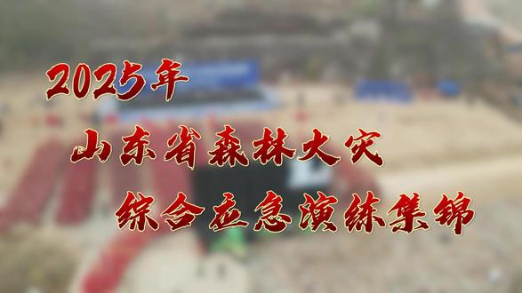 2025年山东省森林火灾综合应急演练集锦