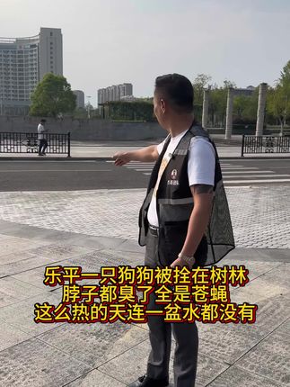 #流浪狗救助