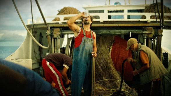 2025神秘博士衍生新剧 陆海之战,人类首次与海洋生物接触 #陆海之战 #神秘博士