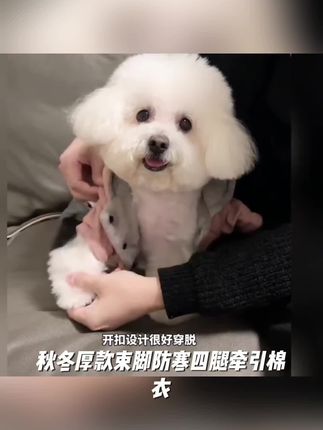 狗狗秋冬厚款束脚防寒四腿牵引棉衣