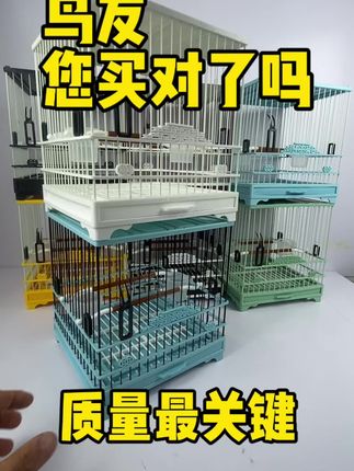 #原创视频 #上热门作品5000亿流量第一名 在经济实惠的基础上,一定要对比质量。#推荐官分享