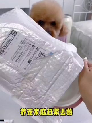 卉亦暮猫碗陶瓷食盆猫咪碗宠物碗斜口保护颈椎防打翻双碗喝水喂食 #卉亦暮猫碗 #陶瓷猫碗 #猫咪食盆 #防打翻猫碗 #宠物碗