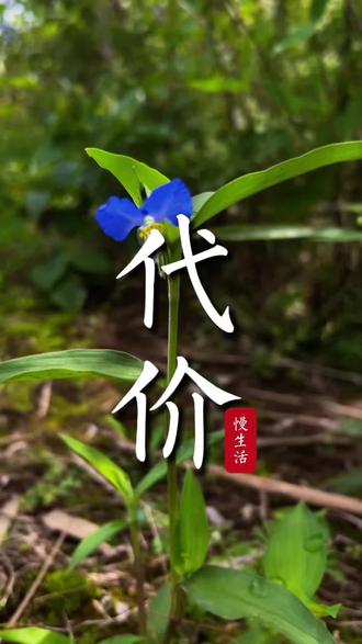 我们花了那么多时间去靠近彼此,居然成为彼此之间的一个教训吗?#情感共鸣 #独处 #喝茶召唤春天 #创作者中心 #创作灵感