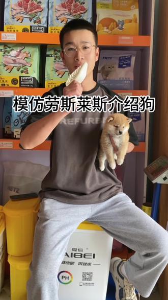 听说这样介绍会火!!!#意想不到的结局 #柴犬 #萌宠出道计划 #狗狗的心思都写在脸上了 #萌宠