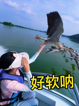 摸起来软软的想捏一捏