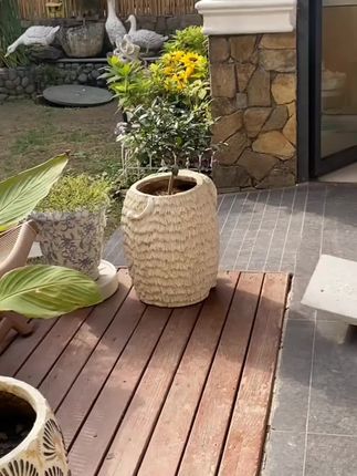 养花人是不是都喜欢把花盆搬来搬去,有了这个搬花神器,再也不怕大花盆搬不动了#爱生活爱养花 #搬花盆神器 #搬花 #好物推荐🔥