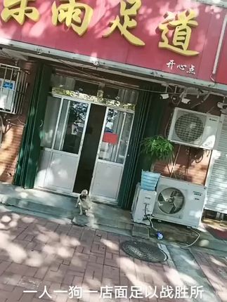 #狗 #狗是人类最忠诚的朋友 #狗狗的日常 #狗子 #狗狗🐶 狗狗日常陪伴遛狗