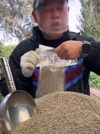 【家用】新疆发货纯调味粒烤肉烧烤调料撒料商用孜然粗细粉可打粉#新疆美食 #孜然 #孜然牛肉 #调料 #烧烤调料