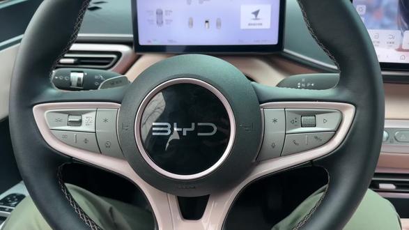 比亚迪车上的语音助手非常好用,同时我们也可以设置不同的唤醒词,去自定义唤醒#比亚迪 #比亚迪海鸥 #每天一个用车知识 #比亚迪语音控制