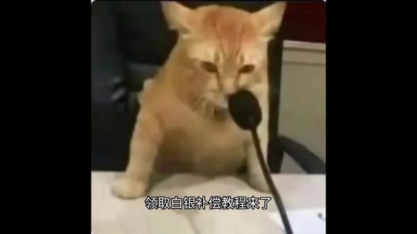 今天之前亏三十多个点卖掉白银的朋友们记得去领取补偿哈
#白银基金#国投瑞银白银#白银基金补偿#基金#财经