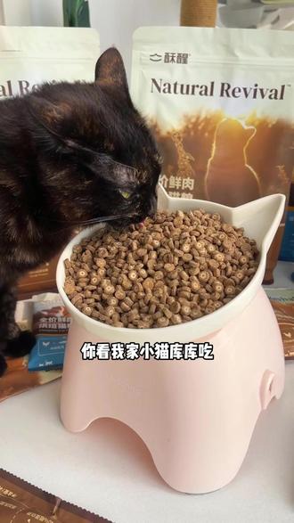 这样的价格能到手2.4斤酥醒烘焙猫粮,再不薅就不礼貌了 #猫粮推荐 #烘焙猫粮 #酥醒猫粮 #养猫人