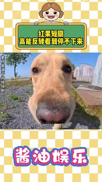 红果短剧高能反转不断 #红果短剧 #你的短剧搭子