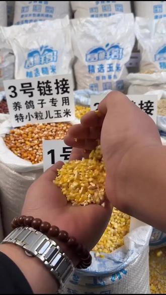自家玉米碎!喂禽畜钓鱼都能用还包邮!