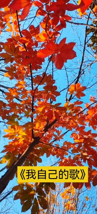 《我自己的歌》作者:沃尔特•惠特曼 诵读:馨