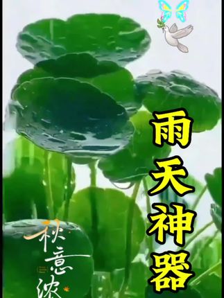 防水鞋套