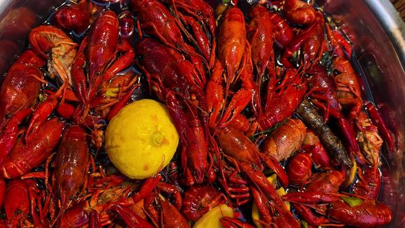 新品新品!震撼震撼!虾胡闹紫金花园店等你哦#小龙虾 #虾胡闹小龙虾紫金花园店