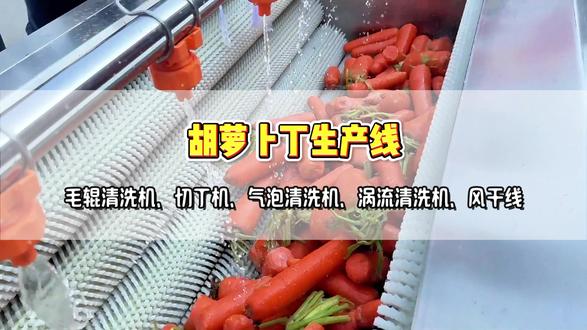 胡萝卜净菜加工设备 胡萝卜丁加工流程:毛辊清洗+切丁+鼓泡清洗+涡流清洗+风干+脱水#胡萝卜清洗机 #胡萝卜切丁机 #净菜加工设备 #支持定制