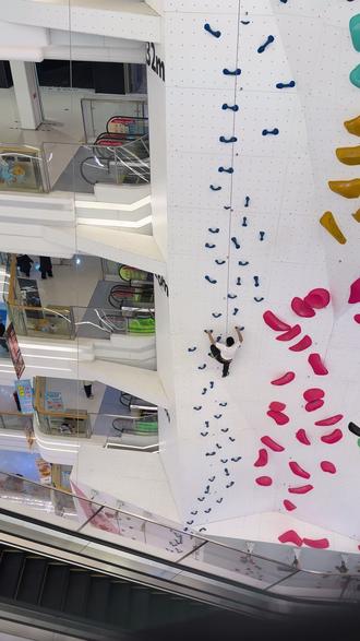 找到了alex台北101十分之一高度的墙#室内攀岩 #台北101 #alex #freesolo #亚列克斯