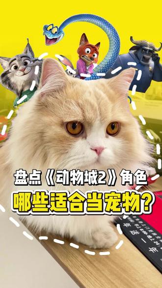 盘点《动物城2》角色哪些适合当宠物? #疯狂动物城2 #喵星人 #矮脚猫 #宠物出道计划 #猫咪