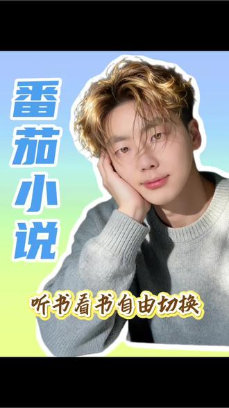 听书看书自由切换#番茄小说 #免费小说 #小说