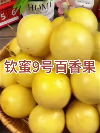 **标题:** 钦蜜9号百香果,甜到心坎里!🍯 **正文:** 新鲜采摘的钦蜜9号,果肉饱满多汁,酸甜刚好,强烈推荐!#黄金百香果 #新鲜采摘