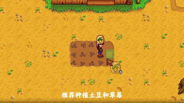 星露谷春天种植作物推荐#星露谷物语