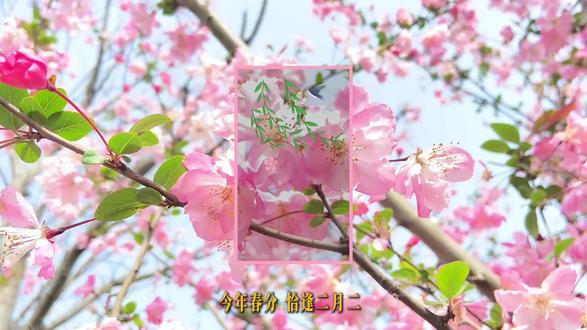 龙抬头抬鸿运,春分分安康。来羊大爷,用热腾腾的铜锅接住这双重吉兆~#春分吃什么 #春分巧遇“龙抬头”#羊大爷涮肉 #好食材清水涮 #春分食春味