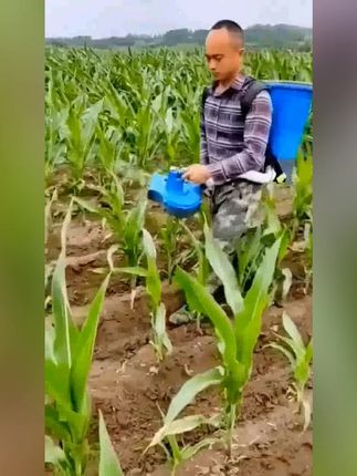 前背电动施肥器施肥机械撒肥神器多功能播种机田地施肥投食投料机 #电动施肥器 #田地神器 #播种机推荐