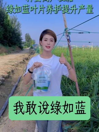 绿如蓝养护叶片,提高光合作用,防早衰#绿如蓝 #姜胖仔 #阳帆农业套餐肥