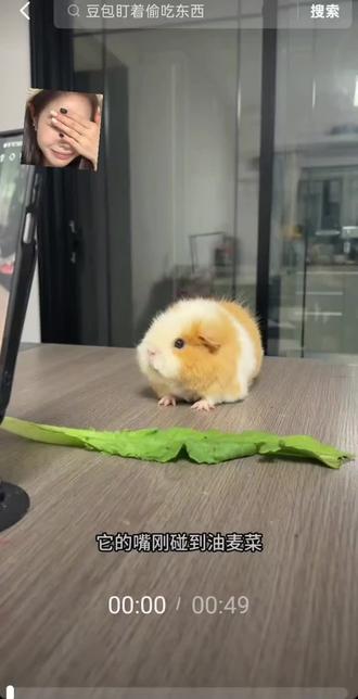 豆包真好玩🦋🌷剪辑一个视频累死我了!
😭第一次剪辑勿喷😙爱你们😘🇨🇳