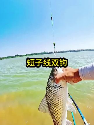 钓鱼要用短子线 钓鱼为什么要用短子线,因为子线短,线组灵敏度高,抓口准#子线双钩 #钓鱼技巧 #钓鱼