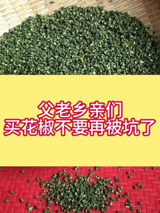 又香又麻的四川青花椒,开口大,色泽翠绿,喜欢川菜的朋友们一定不要错过了#川菜 #青花椒