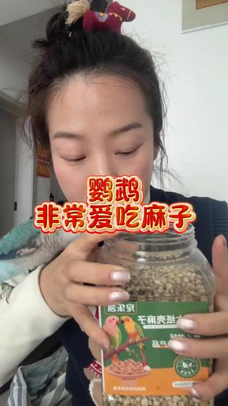 鹦鹉零食最馋的一定是麻子,香长肉,占到全天食物的15%很健康 ❤️鹦鹉不亲你不找你的,都可以用麻子,里含全面的营养、蛋白、油脂、微量元素,小虎皮鹦鹉嗑不开,玄凤鹦鹉可以去橱窗找火麻子,其他鹦鹉都可以嗑开这个大麻子
#手养牡丹鹦鹉 #鹦鹉小白 #鹦鹉日常 #鹦鹉鹦鹉萌萌哒逗鹦鹉 #鹦鹉零食