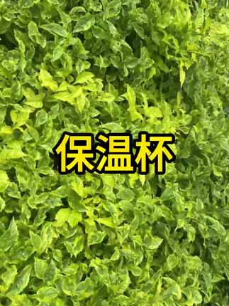 #保温壶 #热水壶 #好物推荐