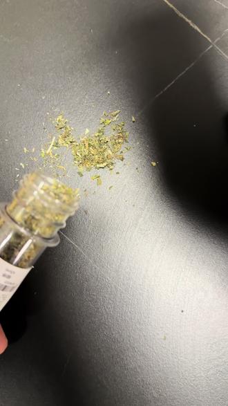 几块钱的猫薄荷没想到有大用途!#猫薄荷#养猫经验分享 #猫咪骗水#养猫人#新手养猫