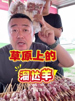 正经溜达羊腿肉羊肉串,鲜肉手工串制,99到手80串,品尝一下来自大草原的味道#老马在草原 #羊肉串 #草原味道 #好吃不贵
