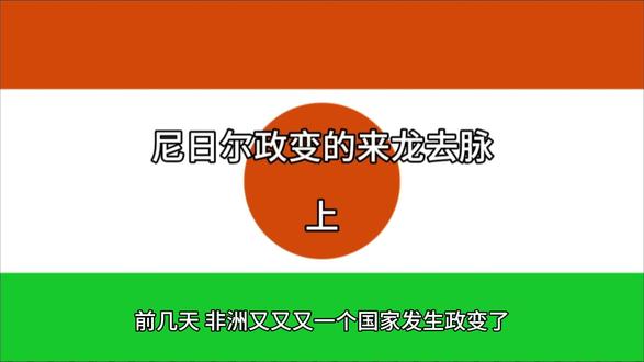 尼日尔政变的来龙去脉。#非洲 #法国