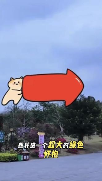 今天必须给你们安利一个首府南宁的宝藏景区,青秀山音乐节 你们猜门票多少钱?20块!对,就20块,成人票直接入园,这价格在市区能找到这么大一个天然氧吧,我跟你们说,放心冲就完事了。
我刚从那边回来,真的,一进去就感觉整个人被绿色包围了,像闯进了一个巨大的绿色怀抱。那个空气啊,吸一口都觉得赚了。
关键是路修得特别好,平地多,带娃的、陪爸妈来的、跟姐妹拍照的,都合适。而且交通巨方便,地铁3号线青秀山站B口出来就是西门,市区过去十几二十分钟的事。
我跟你们说几个必去的地方——
第一个,植物园。那个地方每隔半小时会喷一次雾,一喷起来仙气飘飘的,你随便往那一站拍出来就是森系大片。
第二个,龙象塔。九层古塔,登上去能俯瞰整个南宁城和邕江,下午四五点去,那个日落绝了。
还有兰园,30万株兰花,汉服小姐姐的天堂,真的随便拍都好看。
现在正好是桃花季,12万株桃花全开了,满山粉的,错过真的要再等一年。
我跟你们说,不知道你们刷到这条的时候,那个20块的票还在不在哈。如果还在,赶紧手速囤,这种价格说不定哪天就涨了。
你们想带谁来?在评论区艾特你想一起逛的人,咱们这个春天,青秀山见!#旅游 #遛娃好去处 #城市氧吧 #天然氧吧 #春日踏青