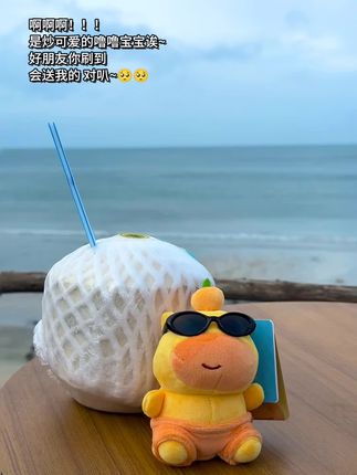 2025年9月1日 10:30我想要一只水豚噜噜玩偶. 2025年9月1日 11:30我想要一只水豚噜噜玩偶. 2025年9月1日 12:30我想要一只水豚噜噜玩偶. #萌物 #可爱到爆炸💥 #噜噜 #挂件 #玩偶