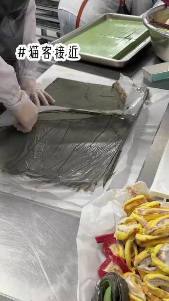 猫客接近#小说#小说推文每日更新