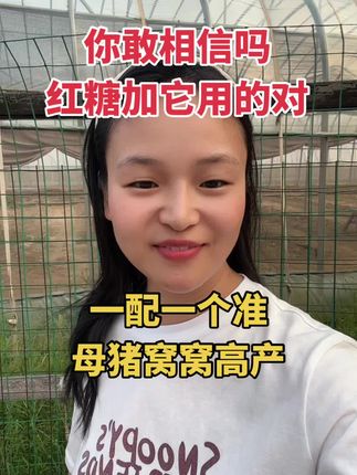 你敢相信吗?母猪不打卷,就用这一招窝窝高产。 #母猪 #养猪人不容易 #养猪技术 #母猪养殖技术