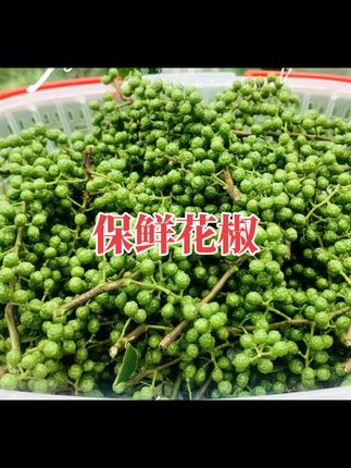 花椒,保鲜青花椒,麻椒新鲜#强烈推荐 #优质农产品 #农产品 #价格美丽 #特色农产品