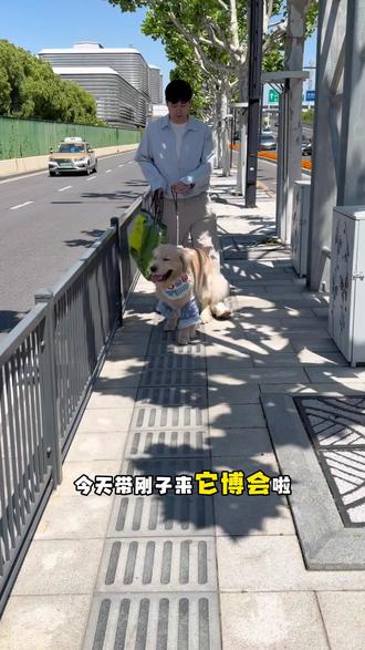 它博会停车攻略分享来啦! 今天带刚子来它博会啦~~被好多叔叔姨姨摸头啦!
分享一个它博会停车攻略,希望可以帮到大家😊
🙅🏻♀️它博会官方停车场我们中午到的时候就已经🈵了!
🚘所以如果不是特别早来,建议大家可以直接导航到:
🅿️进博会p4停车场——找到“国家会展中心”标识上楼——🚶🏻♀️导航“国家会展中心2号门”,步行600m左右就到它博会展馆入口啦!
#它博会 #它博会攻略 #金毛 #萌宠日常记录 #小鸡毛