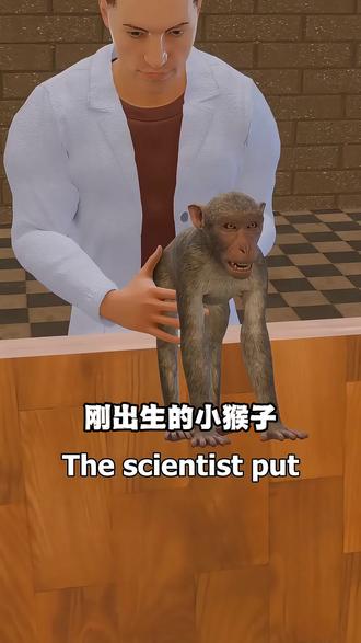 刚出生的小猴子就被科学家关进了笼子里,做一个实验残酷