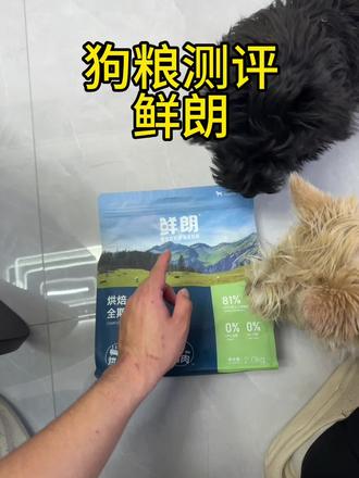 狗粮测评 鲜朗 到底怎么样#养狗经验分享 #狗粮 #科学养宠攻略 #狗粮推荐 #养狗的乐趣