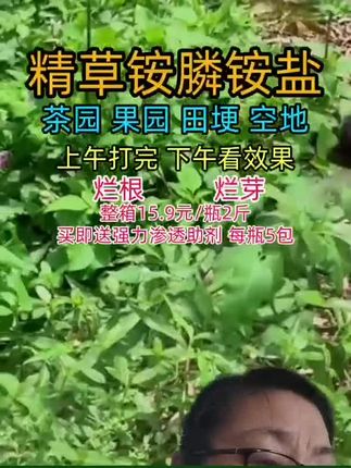 除草剂,死草烂根#精草铵膦铵盐 #除草剂
