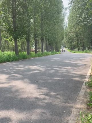 接娃遛弯轻松搞定,超轻省力三轮车必备! 孩子总想骑大人的自行车?这款三轮车让孩子轻松骑行!#骑行#三轮车#接送孩子上下学代步车#户外骑行