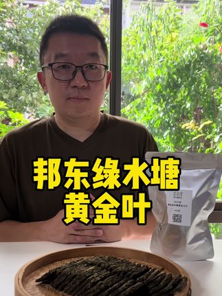 邦东绿水塘黄金叶小方片 #茶叶 #茶生活 #茶友 #草本植物 #茶知识