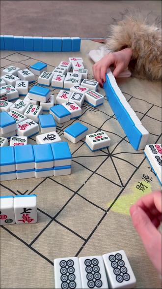 “小瘪三” 快点给我擦皮鞋#麻将搞笑#九曲黄河万里情#00后精神状态#济阳不夜城